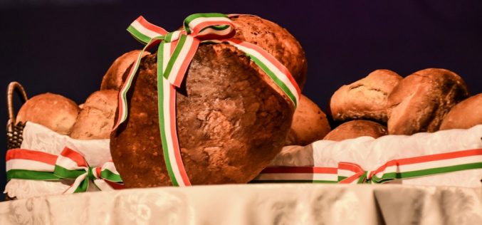 Obeležen mađarski nacionalni praznik