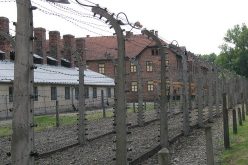 Svet obeležava Dan sećanja na Holokaust